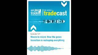 Macro to micro: How the green transition is reshaping everything