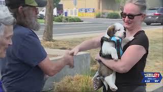 Bend man gets service dog because of NewsChannel 21 viewers