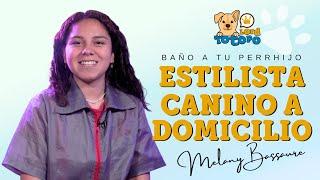 Estilista canino a domicilio cdmx  - Baño de perrhijos hasta tu casa Lord Totopo   #petlover