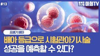 배아 등급이 좋으면 임신율이 올라가나요? 포배기 배아의 등급과 염색체 이상의 비율 등 알아봐요
