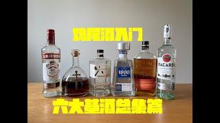 【鸡尾酒入门3.33】妈妈再也不用担心我看不懂酒单了！野生调酒师的鸡尾酒入门小课堂！六大基酒总集篇