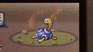 Live Shiny Shuckle 7572 REs