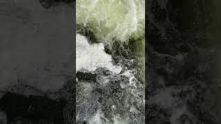 Социальные процессы такие же плавные, как и природные | #социология #природа #вода