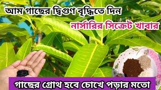 আম গাছে পাবেন প্রচুর শাখা ১বার দিন এই সিক্রেট খাবার mango plant care in pot @greenfriends8901