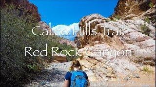 Calico Hills Trail at Red Rock Canyon in 4k