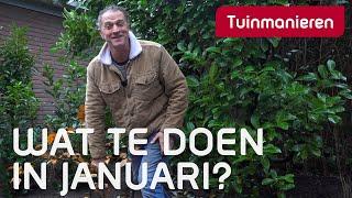 Wat te doen in Januari in de tuin? | Tuinieren | Tuinmanieren