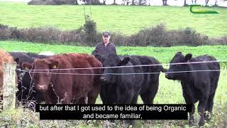 Tom Dunne - Teagasc DAFM Organic Beef Demonstration farmer