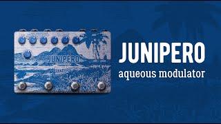 Zander Circuitry Junipero Aqueous Modulator Guitar Pedal Demo - In-depth