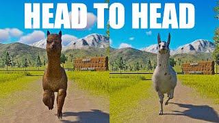 Alpaca vs Lama A Head to Head Speed Race in Planet Zoo