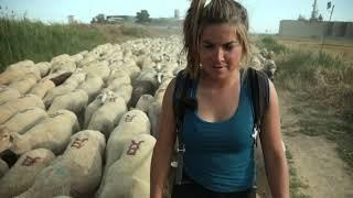 Judit Ballarín, ganadera amante de sus ovejas