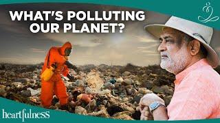 How Can We Stop Pollution?