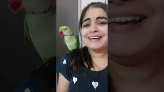 Single life #shorts #talkingparrots #rjanukritisharma