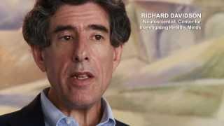 HEALTHY HABITS OF MIND TRAILER - Richard Davidson