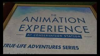 Animation Experience at Conservation Station