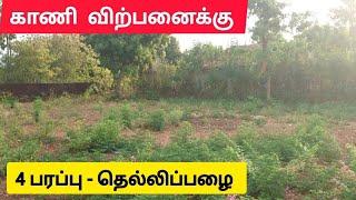  காணி விற்பனைக்கு | யாழ்ப்பாணம் - தெல்லிப்பழை ⁉️ Jaffna | Srilanka #shorts