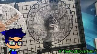 18" Camel Wall Fan WIF 18| The PVZBloverFan ™