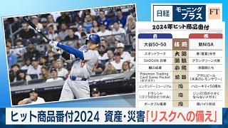 ヒット商品番付2024 資産・災害「リスクへの備え」【日経モープラFT】