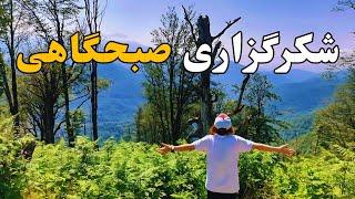 نیایش صبحگاهی برای شروع روز/زیباترین مناجات با خدا شکرگزاری صبحگاهی/ شروع صبح با انرژی مثبت و آرامش