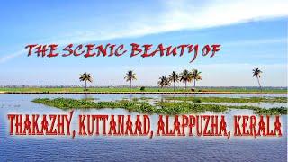 THE SCENIC BEAUTY OF KERALA,THAKAZHY, KUTTANAAD, ALAPPUZHA,...