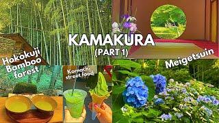 Kamakura Day trip | Matcha cafe in Hokoku-ji Bamboo Forest, Bloomed Hydrangeas at Meigetsu-in Temple