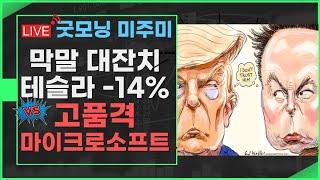 [굿모닝 미주미] 막말 대잔치, 테슬라 -14% 급락 vs 고품격 마이크로소프트는  사최가 #미주미 #이항영