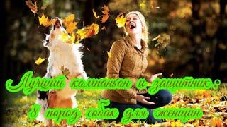 Лучший компаньон и защитник 8 пород собак для женщин Dog breeds for women