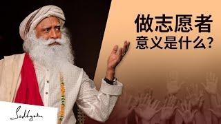 做志愿者的意义是什么？| Sadhguru 萨古鲁