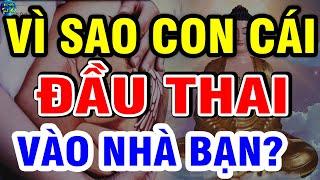 Phật Giảng Về Mối Duyên Nợ Ngàn Năm Giữa Cha Mẹ Con Cái, VID SAO CON CÁI ĐẦU THAI Vào Nhà Bạn| VĐTH