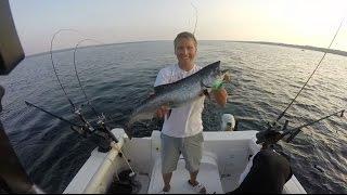 Owensound Bay Salmon on Lyman Plug & Fly!