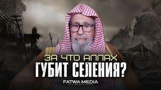 ЗА ЧТО АЛЛАХ ГУБИТ СЕЛЕНИЯ, ЕСЛИ В НИХ ЕСТЬ ПРАВЕДНИКИ? | Шейх Салих аль-Фаузан