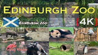 Full Tour Of Edinburgh Zoo | Edinburgh Zoo | 4K | Finding Wonders