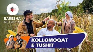 Lili & Zoja - Kollomoqat e Tushit