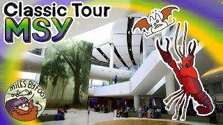 Getting Around New Orleans International Airport (MSY) - Full Airport Guide and Tour