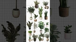Green Glow-Up!  Transform Your Room with Stylish Planters! 
