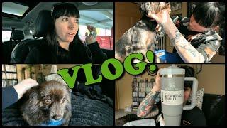 VLOG: May 7th-13th | Avril's CRAZY Dental Procedure, Grooming Dogs, Stanley Cup Trend, & Updates!