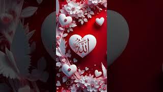 Qurantranslation #quraan #quran