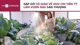 Gặp gỡ cô giáo về hưu chi tiền tỷ làm vườn rau sân thượng | VnExpress