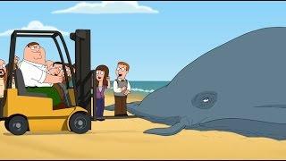 Family Guy - gestrandeter Wal / Gabelstapler - Szene aus S12E09