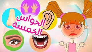 أغنية الحواس الخمسة للاطفال | My Five Senses