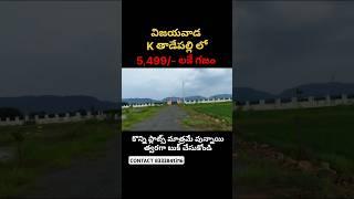 OPEN PLOTS FOR SALE IN VIJAYAWADA AMARAVATHI GUNTUR CONTACT 8332841316