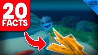 20 Secret Facts About Raft...