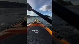 Baffin (3).mp4