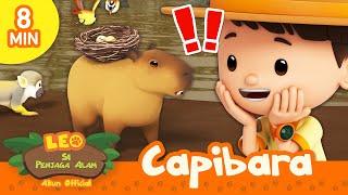 Capibara Menyelamatkan Hewan Lain!  | Capibara | Leo Si Penjaga Alam | Kartun Anak