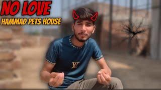 Hammad pets house no love ️ @hammadpethouse1