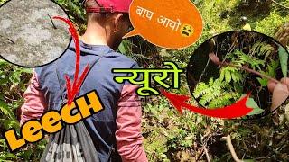 | In the jungle for neuro vegetable | leech bite us - RIKESH SHRESTHA [OFFICIAL]