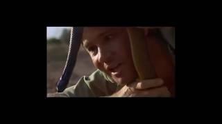 Steve Irwin The Crocodile Hunter's Greatest Moments