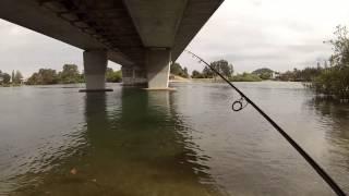How to catch bream on bait around a bridge ( basic bream fishing )