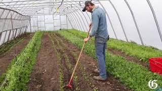 A new generation of small farmers in Quebec