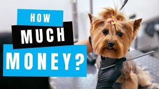 How Much Money Can You Make Owning a Dog Grooming Business?