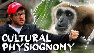 Gibbons are RACISTS?